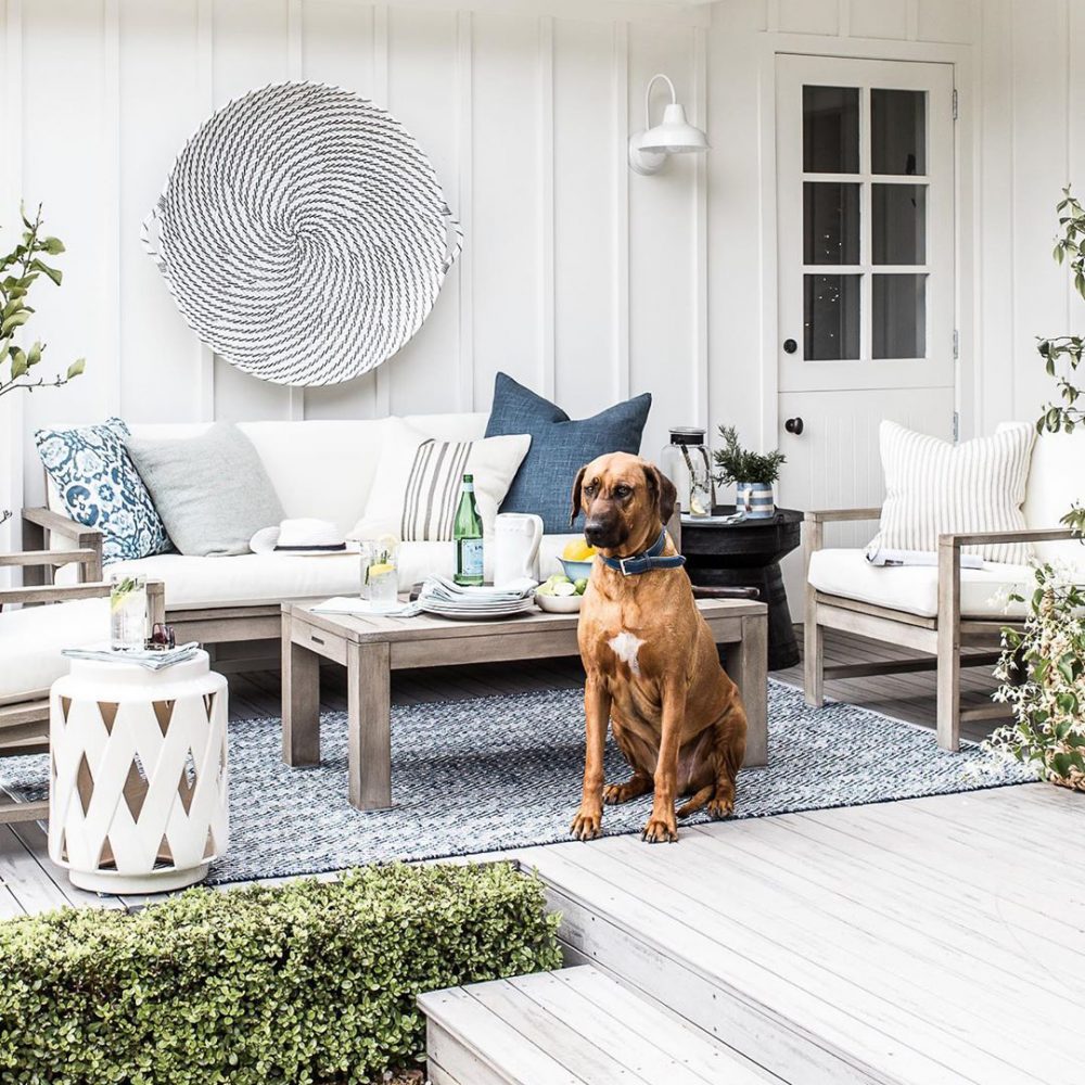Our Austin Wall Sconce in Pearl White Gloss. Image & Doggo courtesy of Cottonwood & Co.